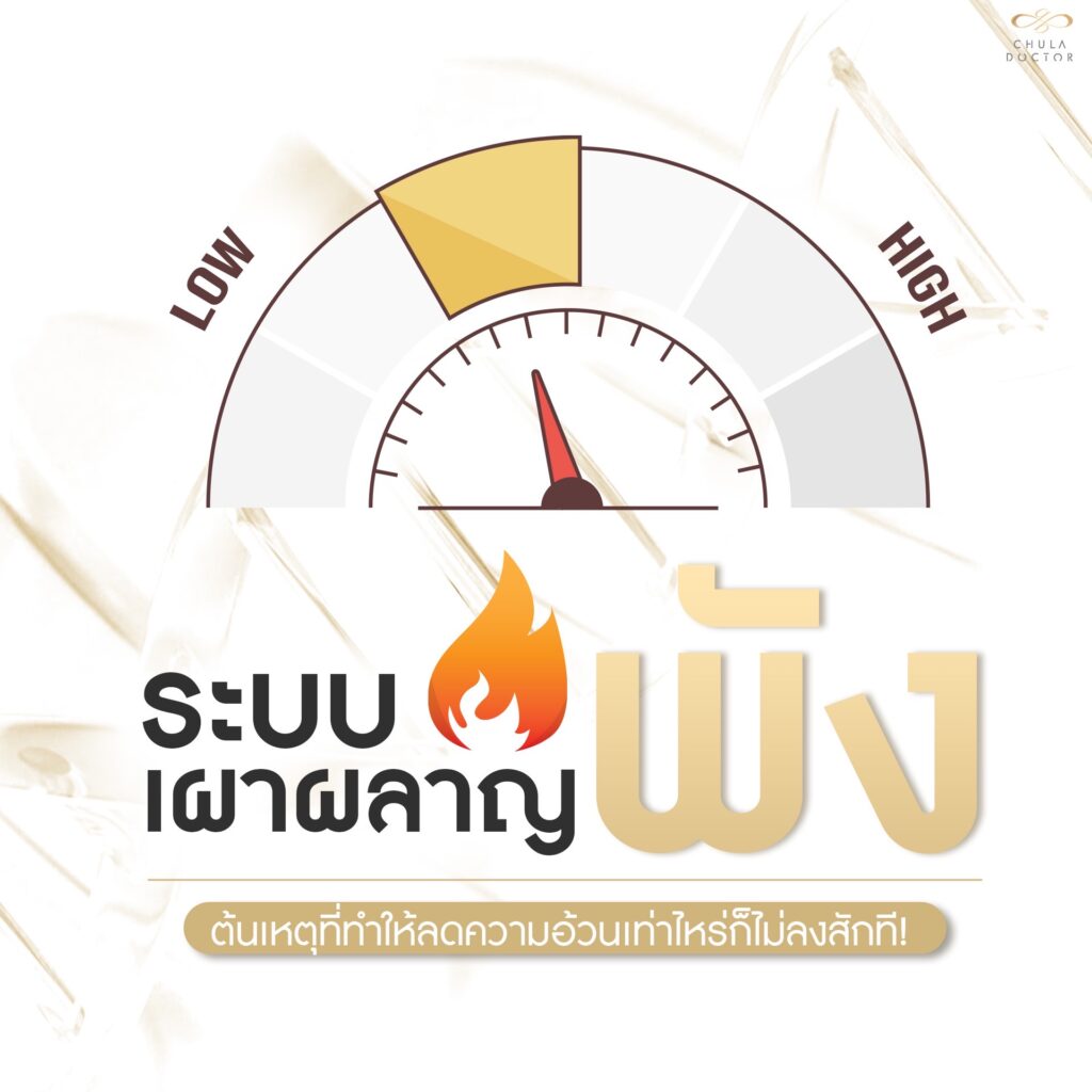 ระบบเผาผลาญพัง ต้นเหตุที่ทำให้ลดความอ้วนเท่าไหร่ ก็ไม่ลงสักที!