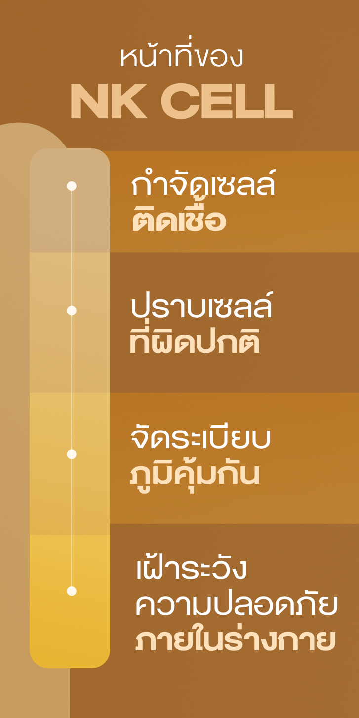 ฝ้าเลือด
