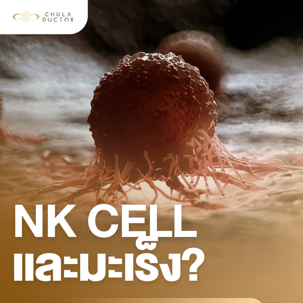 NK Cell กับมะเร็ง เกี่ยวข้องกันอย่างไร